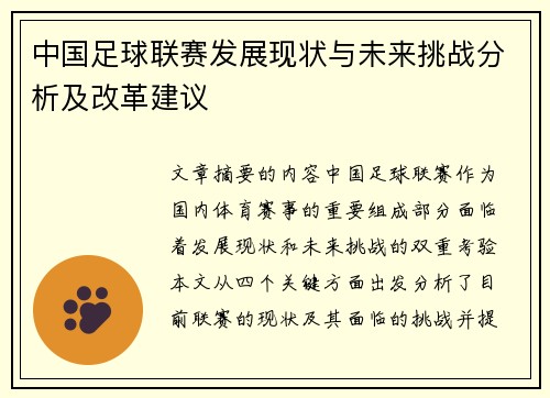 中国足球联赛发展现状与未来挑战分析及改革建议