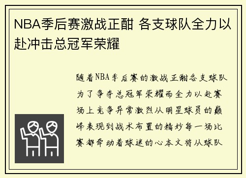NBA季后赛激战正酣 各支球队全力以赴冲击总冠军荣耀