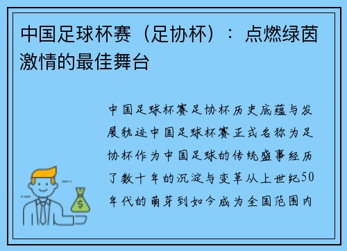 中国足球杯赛（足协杯）：点燃绿茵激情的最佳舞台