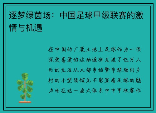 逐梦绿茵场：中国足球甲级联赛的激情与机遇
