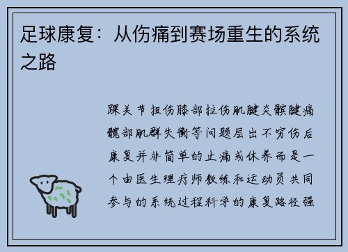 足球康复：从伤痛到赛场重生的系统之路