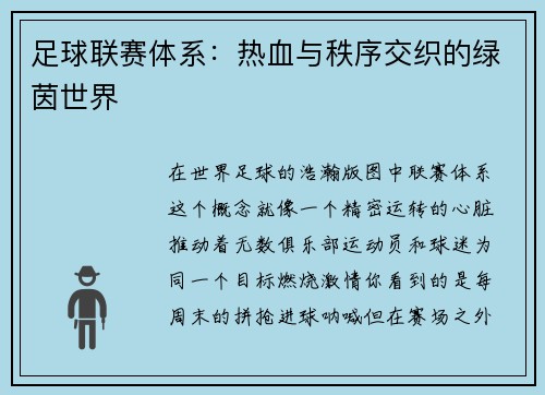 足球联赛体系：热血与秩序交织的绿茵世界